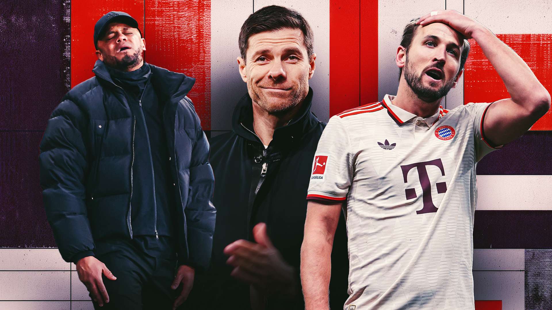 了巨大关注 了巨大关注